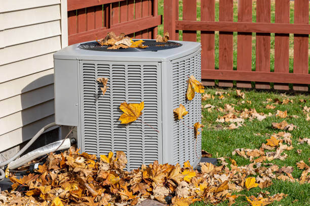 Best Ductless HVAC Repair  in St Bonifacius, MN